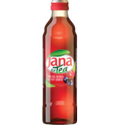 Jana Ice Tee Waldbeeren 33cl