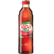 Jana Ice Tee Wildbeeren 33cl Einweg Glas