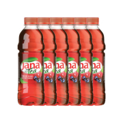 Jana Waldfrucht Ice Tee 5dl